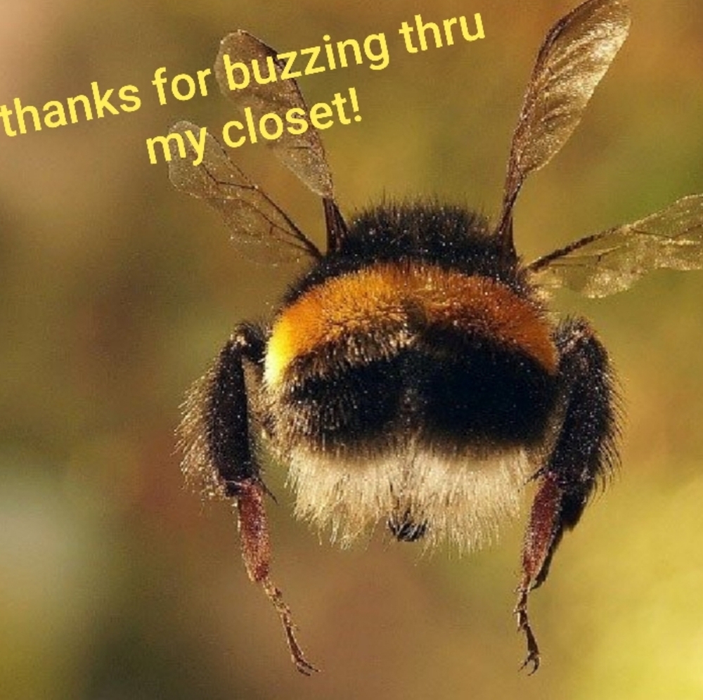 LIKE this bee so you can find my closet again!